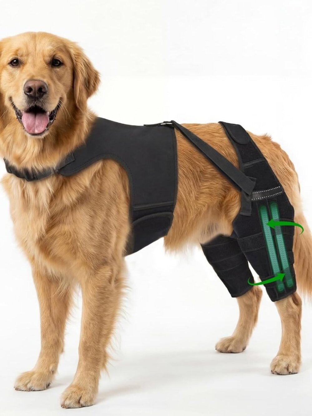Dog Knee Brace for Back Leg, Adjustable Dog Leg Brace with 4 Stabilizers